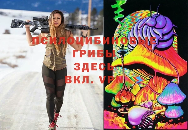 СК Михайловск