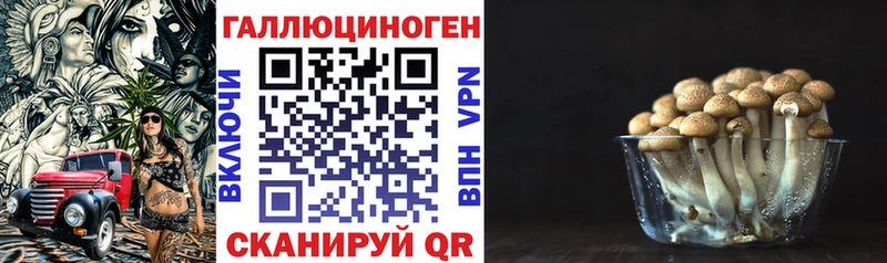 Псилоцибиновые грибы Cubensis  Купить  Яблоновский 